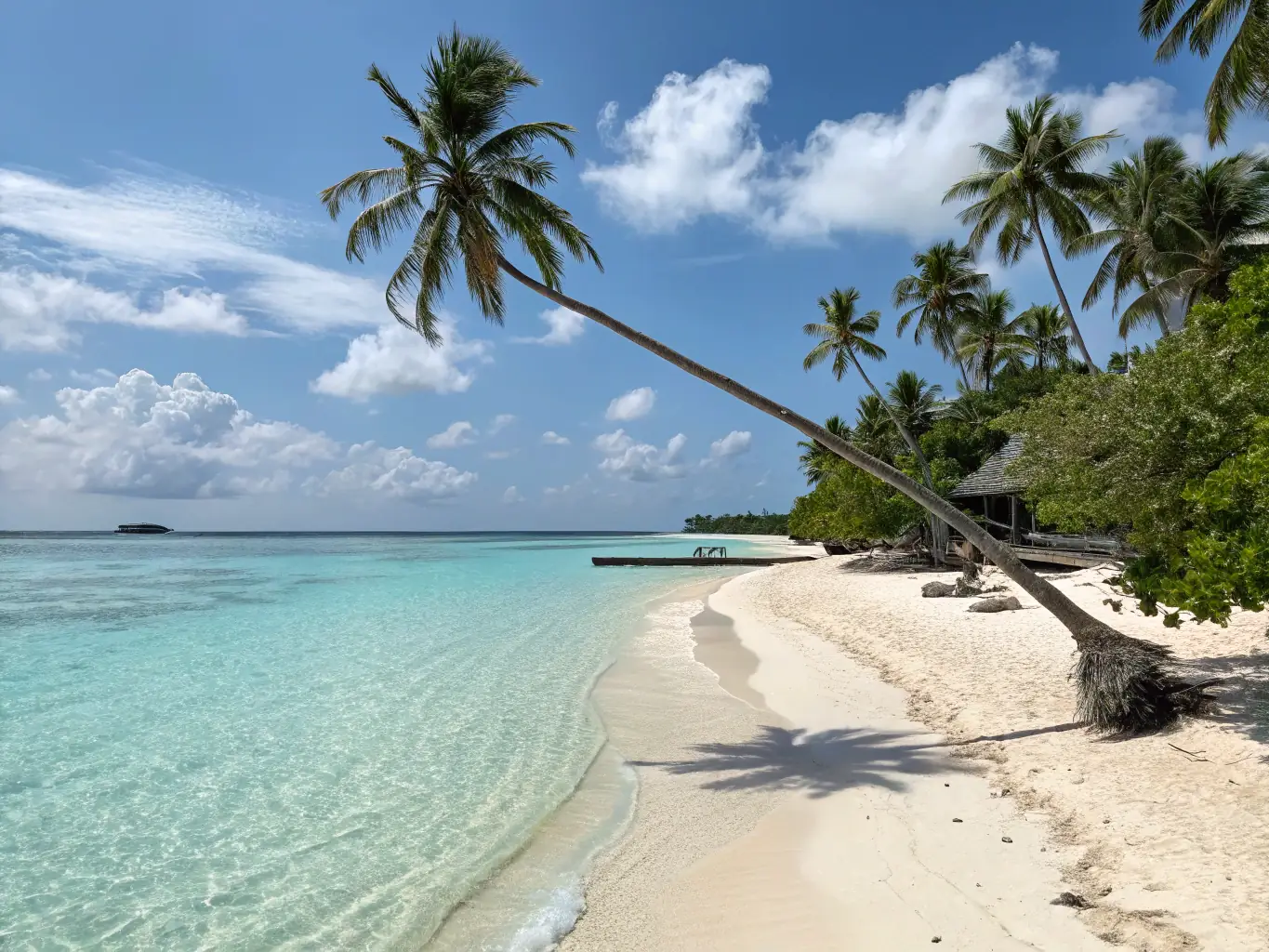 A pristine beach at Soneva Fushi in the Maldives, showcasing the resort's natural beauty and commitment to sustainable luxury. The image highlights the resort's secluded villas and lush tropical surroundings, emphasizing its dedication to providing a tranquil and private experience for guests seeking separate sleeping arrangements.
