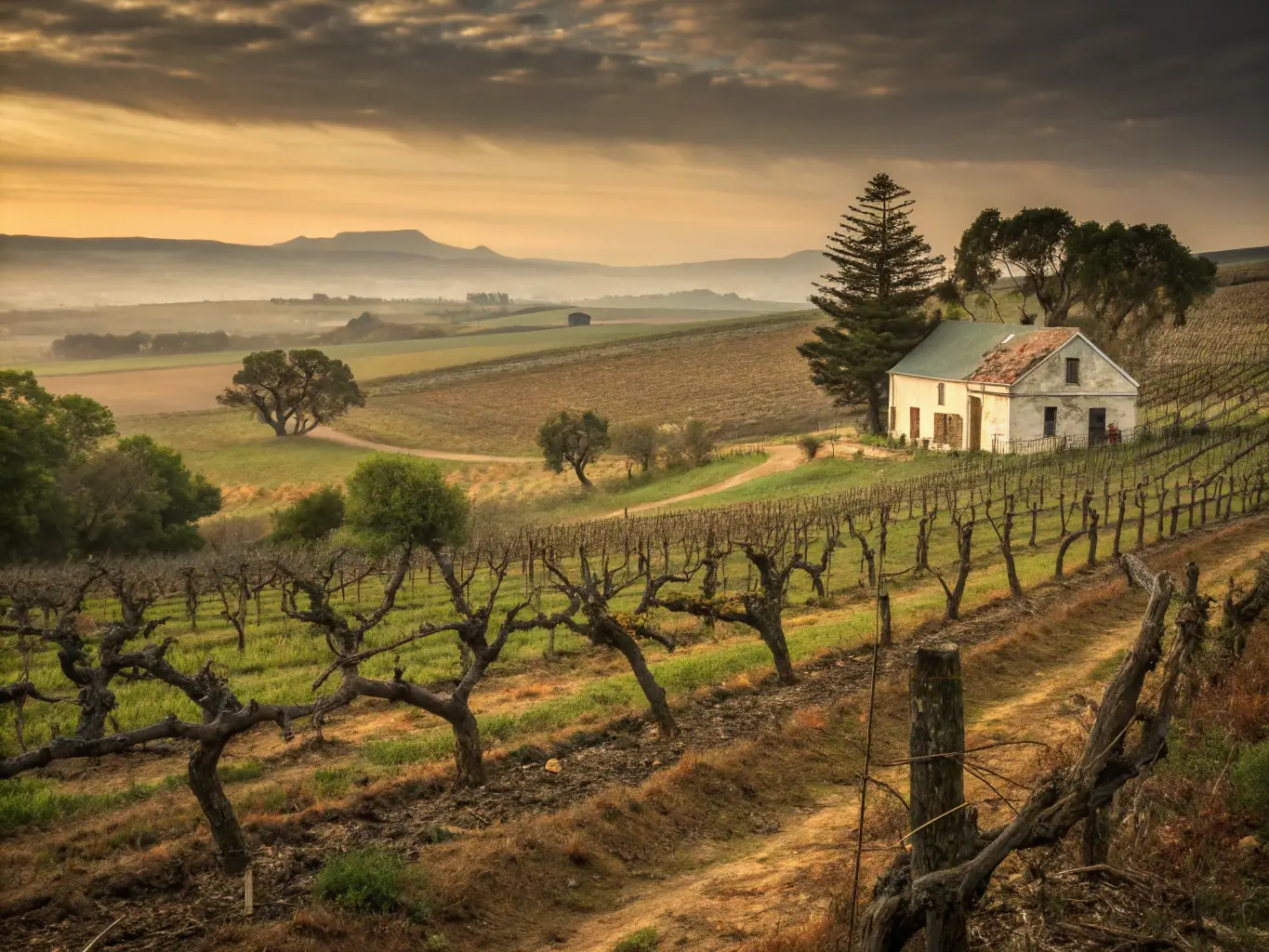 An inviting image of a Santorini vineyard with a couple sampling local wines, showcasing the unique volcanic terroir and the intimate setting of a wine tasting tour.