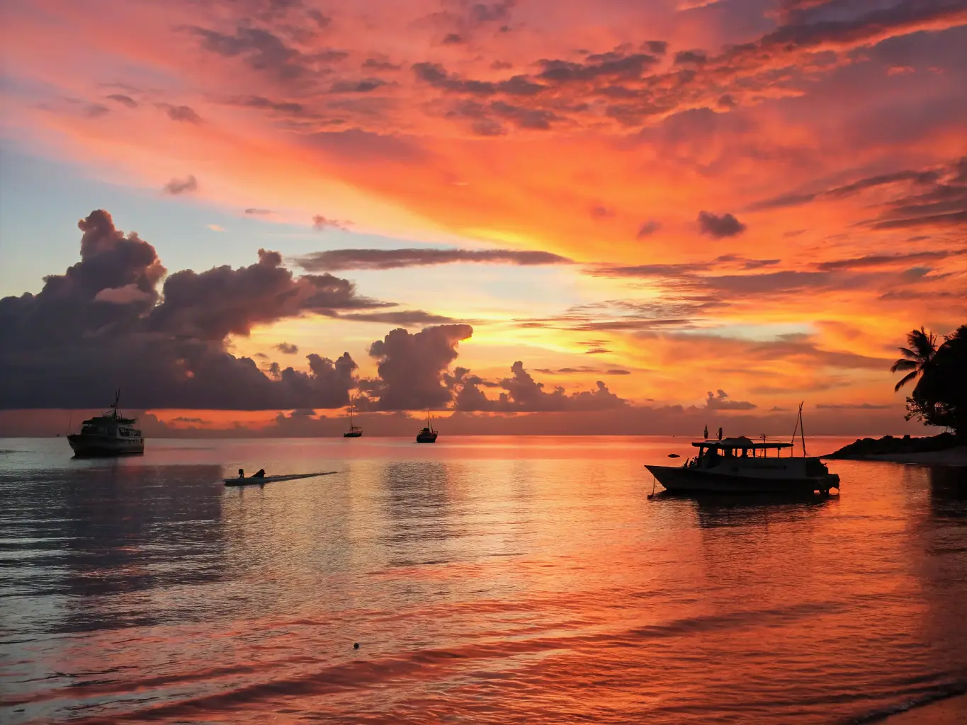 A serene sunset cruise in the Maldives, with dolphins playfully leaping in the wake of the boat, creating a magical and romantic experience.